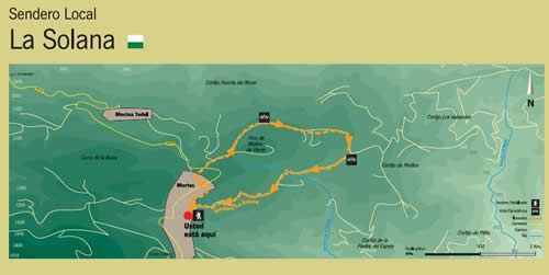 Sendero local - La Solana-